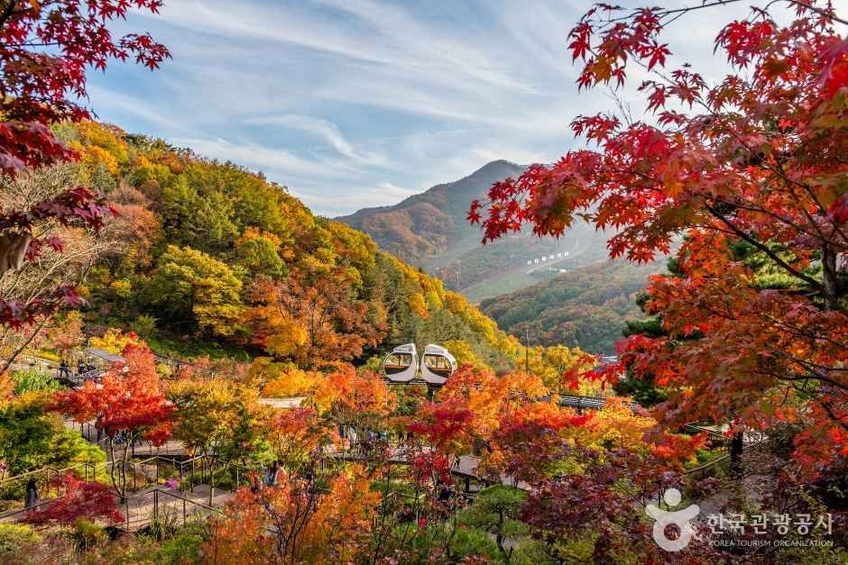 광주 화담숲, 가을 국내 여행