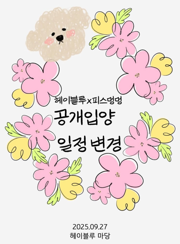 유기견 공개입양 행사 일정