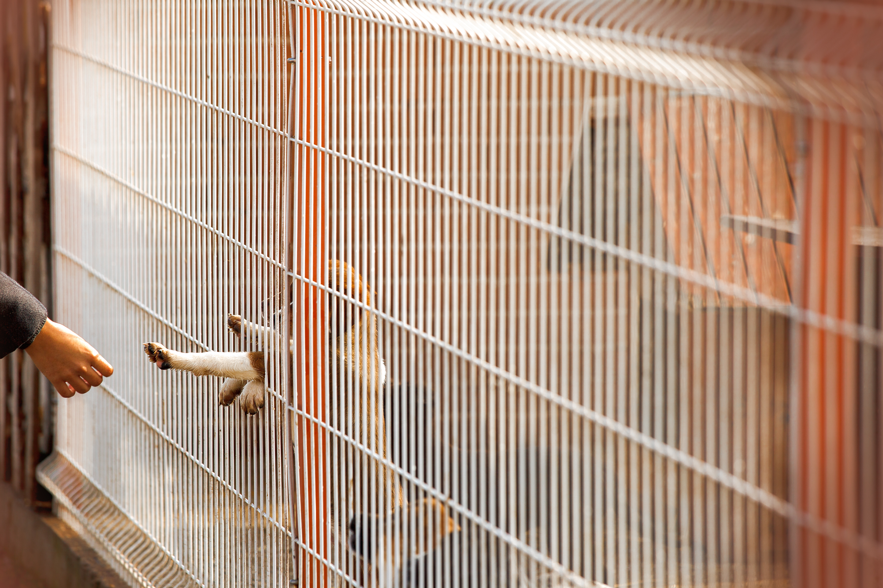 곡성군, '매일 만나는 소아과' 상시 진료