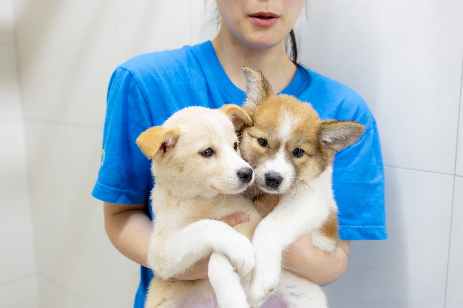 곡성군, '매일 만나는 소아과' 상시 진료