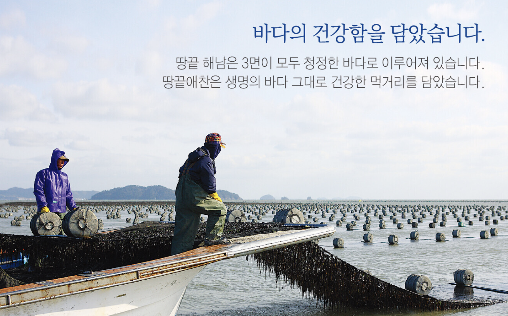 곱창김, 곱창김 뜻, 곱창김 유래, 전남 해남군, 해남, 해남 특산물, 특산품, 김, 답례품, 위기브